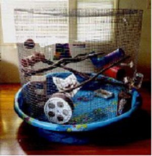 Rat Lady's Wire Cage