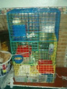 Cube Cage
