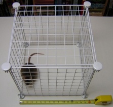 rat cage size