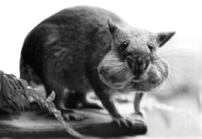 Sara with full pouches