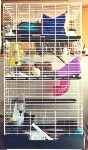 Large Super Pet Cage
