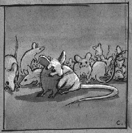 Crowded cage (Copyright 2002 Cutter Hays)