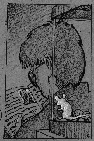 Reading over the store manager's shoulder (Copyright 2002 Cutter Hays)