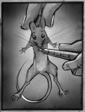 Poked and prodded and held up by the neck (Copyright 2002 Cutter Hays)