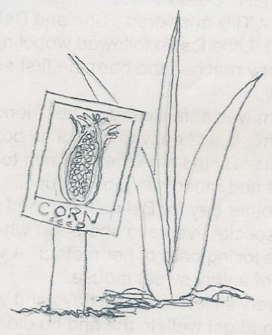 Chapter 5 (Copyright 2008 Kimberlyn Kammerer)